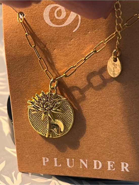 Plunder Jewelry - Plunder Gold tone Floral Medallion Necklace